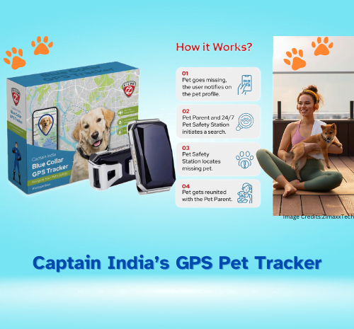 The Best Dog GPS Trackers and Collars