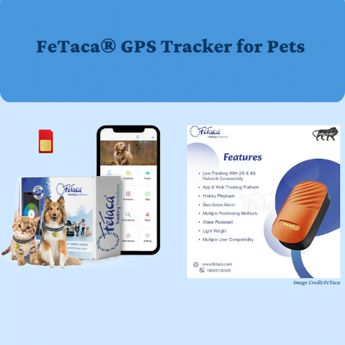 The Best Dog GPS Trackers and Collars