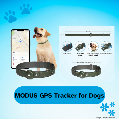 The Best Dog GPS Trackers and Collars