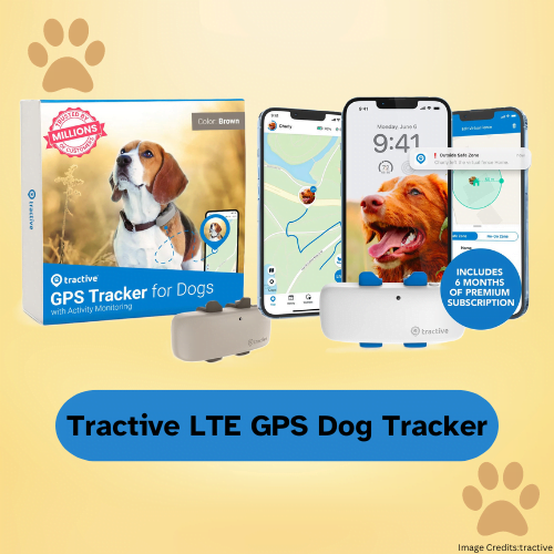 The Best Dog GPS Trackers and Collars