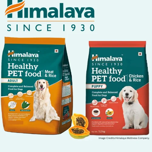 The Best Dog Food