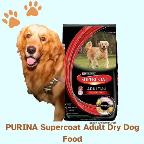 The best Dog Food